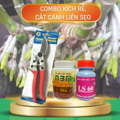 combo-kich-re-cat-canh-lien-seo-1_fd6e86412b194a9cb02c8cc402ef632f_grande