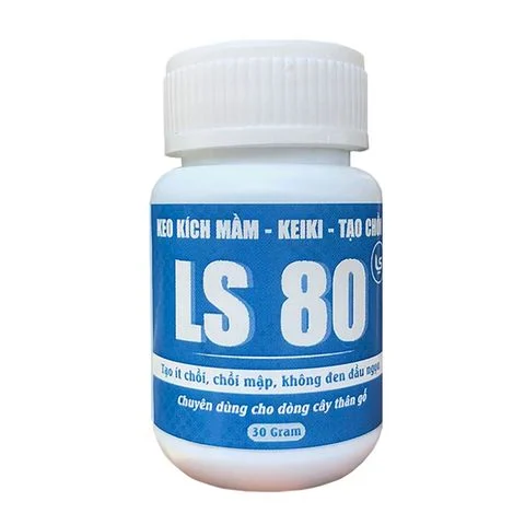 ls80_4f14fa333f5745a581102409bd603d03_large