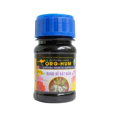 orghum_c2e06bf077ac4f76bc9b0c25afbc8831_large